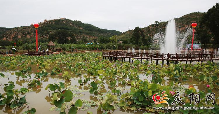印象义渠莲花池旅游文化节开幕