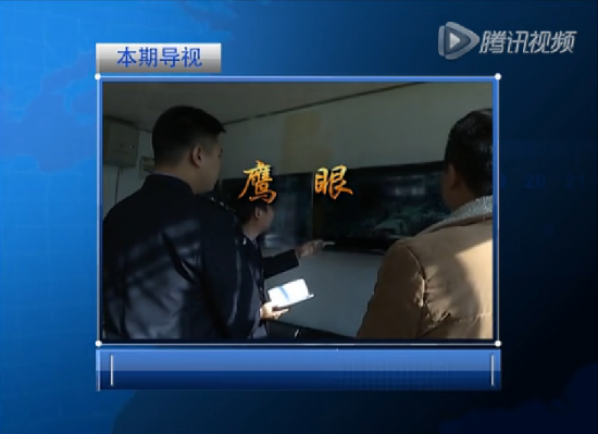 鹰眼