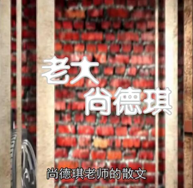 老大（尚德琪）