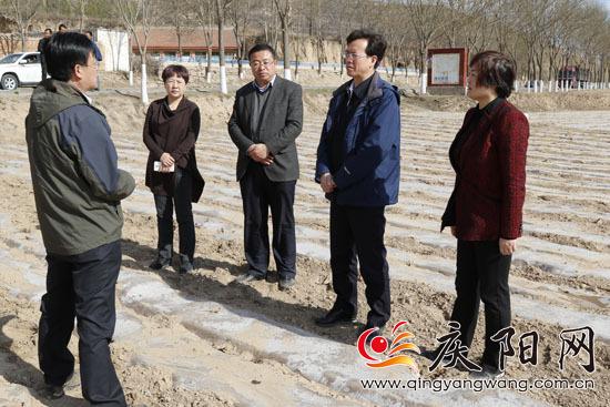 贠建民：大力发展富民产业构建特色产业体系 推动县域经济持续健康发展