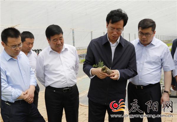 贠建民：提升县域经济运行质量和效益