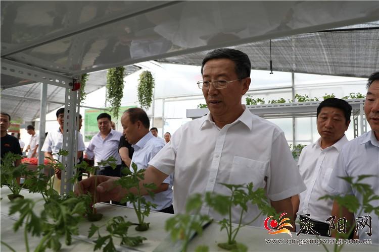 朱涛率第二项目观摩督查组在宁县观摩督查