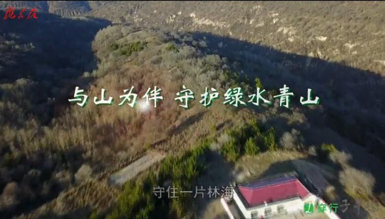 【穿行子午岭】与大山为伴 守护绿水青山