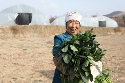 洪河村群众的心里话：脱贫致富，计划得先行