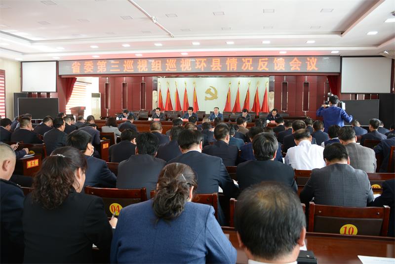 省委第三巡视组向环县委反馈巡视情况