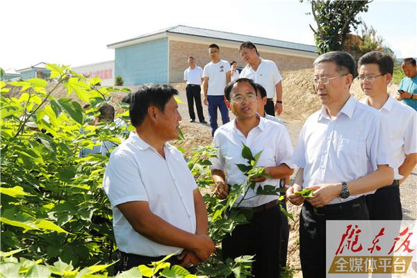 朱涛：发展特色产业做强乡村旅游 集中全力打好打赢脱贫攻坚战