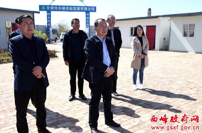 李聪调研温泉镇重点工作