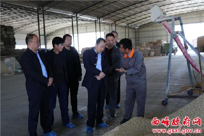 李聪调研彭原镇重点工作