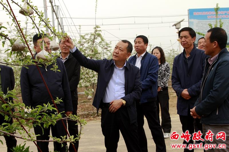 李聪调研什社乡重点工作