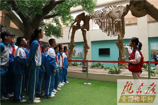 【第一眼】庆阳市博物馆开展多项活动庆祝“5·18国际博物馆日”