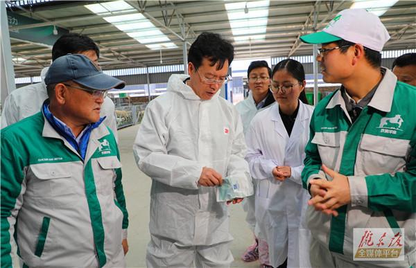 贠建民在环县调研脱贫攻坚工作时强调 强化决战决胜关键举措 一鼓作气攻克最后贫困堡垒