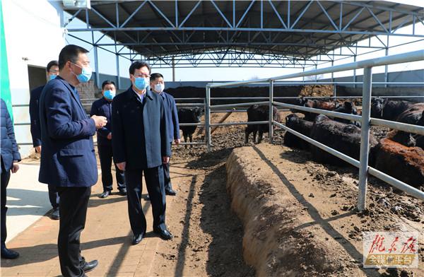 贠建民在西峰区调研项目建设和企业复工复产情况时强调 担当有为狠抓落实 夯实基础补齐短板 努力为全市高质量发展树标杆创经验作示范