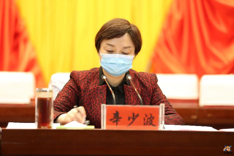 县委书记辛少波出席会议并讲话;县人大常委会主任张刚宁主持会议;县