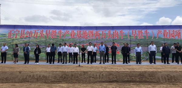 正宁县20万头早胜牛产业基地暨两万头肉牛（早胜牛）产业园项目开工