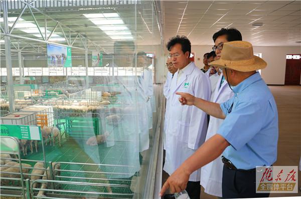 贠建民在环县调研产业扶贫工作时强调 拉开架势构建产业体系 多措并举促进群众增收