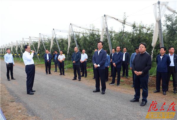 贠建民卢小亨率团在宁县观摩苹果产业发展情况