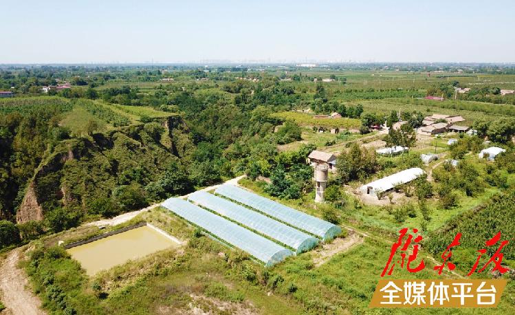 养鸡致富经_致富养鸡视频_致富养鸡散养鸡技术