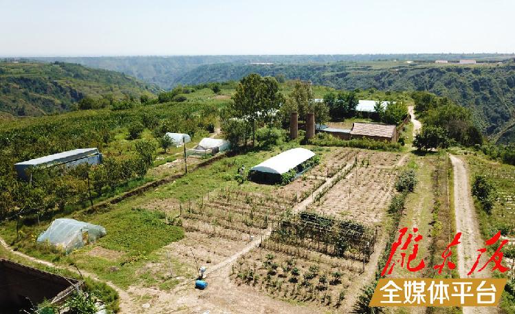 养鸡致富经_致富养鸡视频_致富养鸡散养鸡技术