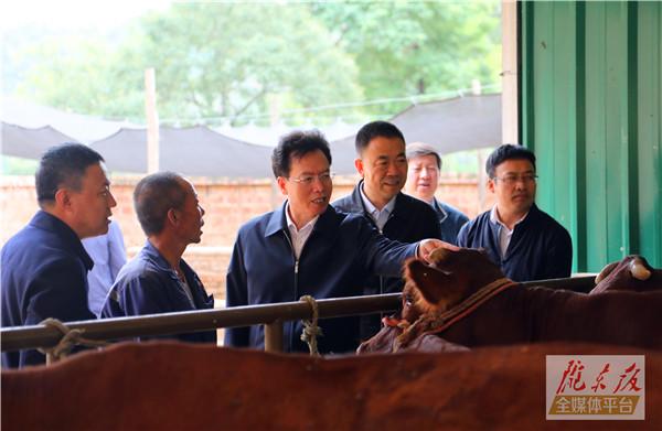 贠建民在正宁县调研防汛工作时强调 全力以赴抓好防汛减灾救灾工作 最大限度减少群众生命财产损失