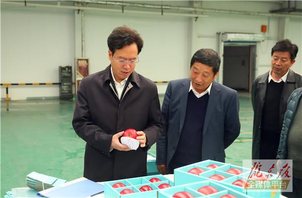 贠建民在宁县和西峰区调研产业发展等工作时强调 坚持既定思路加快构建现代农业产业体系 努力形成具有县域特色的主导产业格局