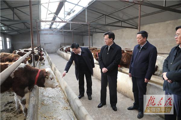 贠建民在镇原县调研时强调 慎终如始坚决打赢脱贫攻坚收官之战 乘势而上不断夯实乡村产业振兴基础