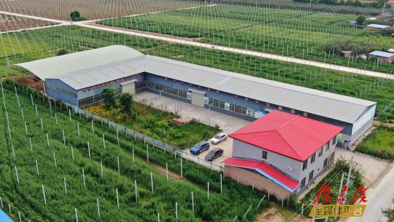 庆阳市整体布局多元构建循环农业体系促农业绿色发展
