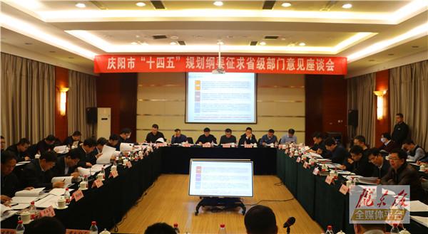 庆阳市委市政府召开座谈会 就“十四五”规划纲要征求省级部门意见建议