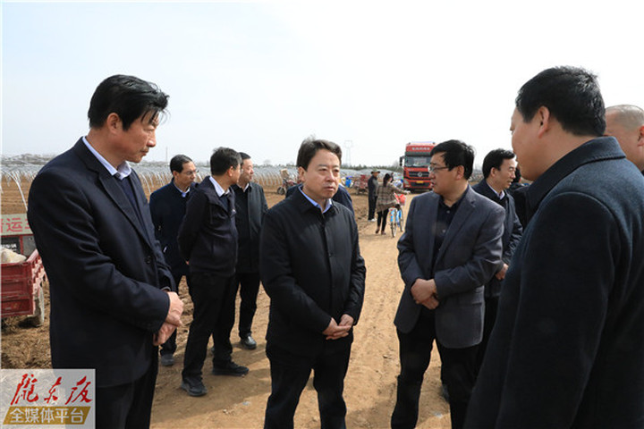 卢小亨在镇原县调研巩固拓展脱贫攻坚成果春耕生产等工作