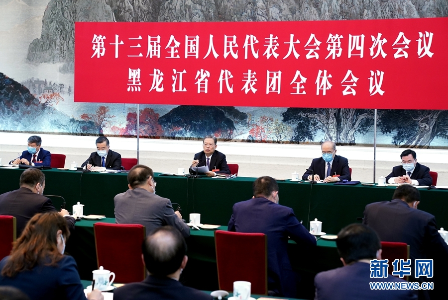 （两会受权发布）赵乐际参加黑龙江代表团审议