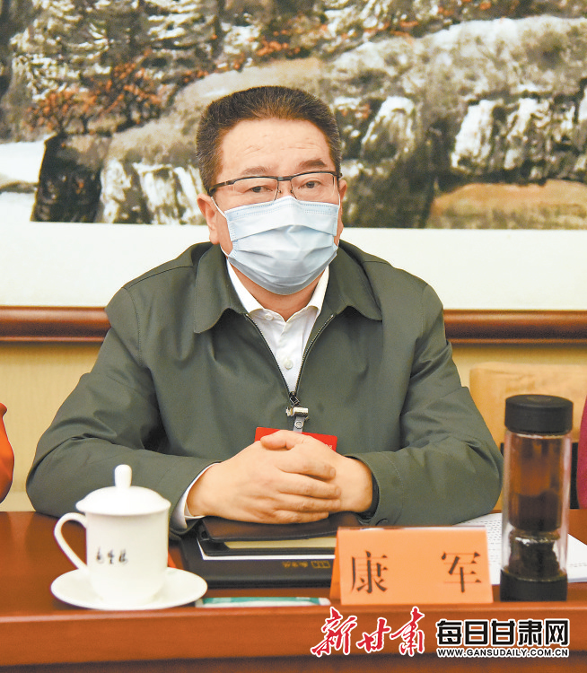 【建言献策】康军代表：为深入实施乡村振兴战略提供更加有力供电保障