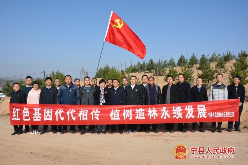 播种绿色希望 追寻红色足迹——宁县政府办公室丰富载体推动党史学习教育走深走实