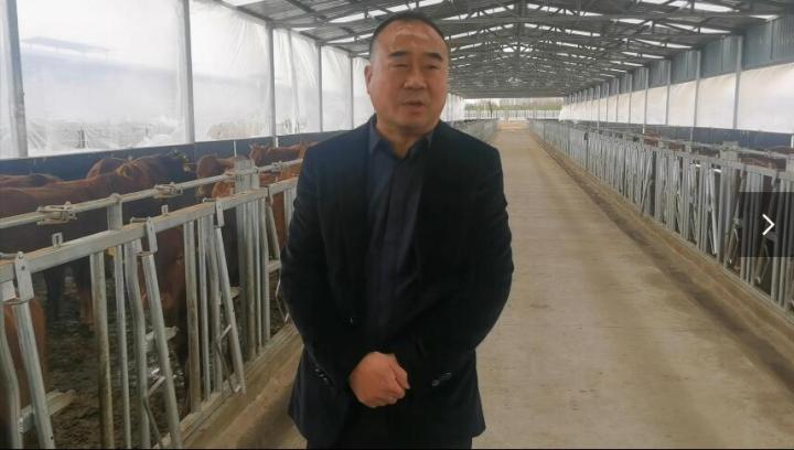 【脱贫攻坚我来见证】项祖地：让“早胜牛”品牌走出甘肃  走向全国