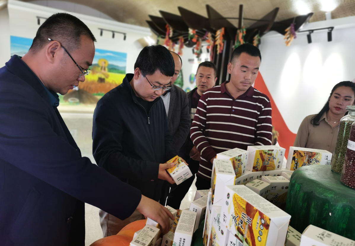 王海宾开展东西部协作工作调研
