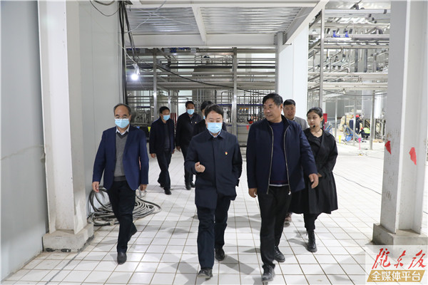 卢小亨在环县调研时强调 发挥比较优势 发展特色产业 强龙头补链条聚集群 推动县域经济高质量发展