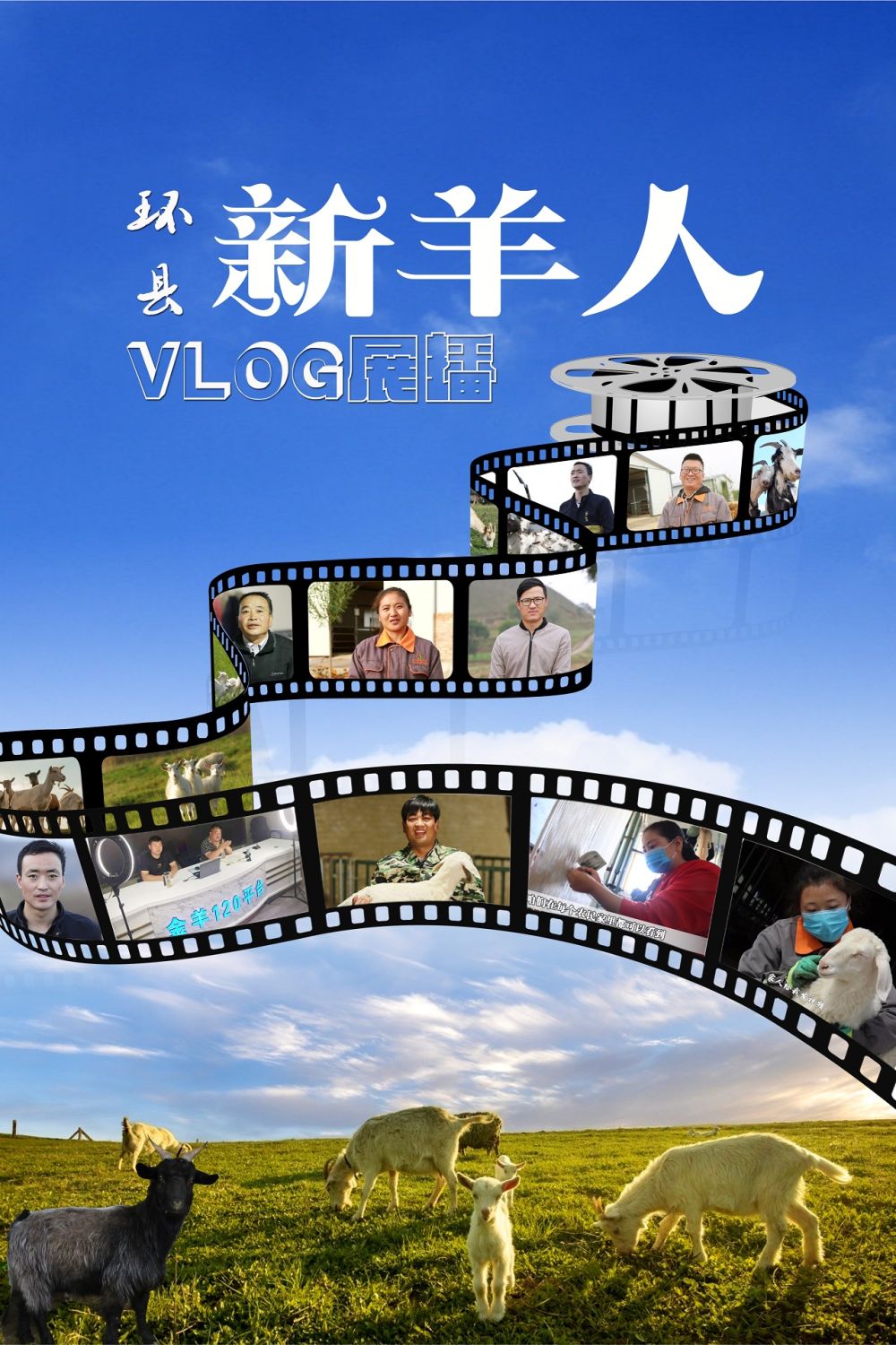 【环县“新羊人”VLOG展播】“大学生养羊”殷亚运