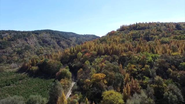 合水县深入开展造林绿化和生态建设 助推乡村振兴