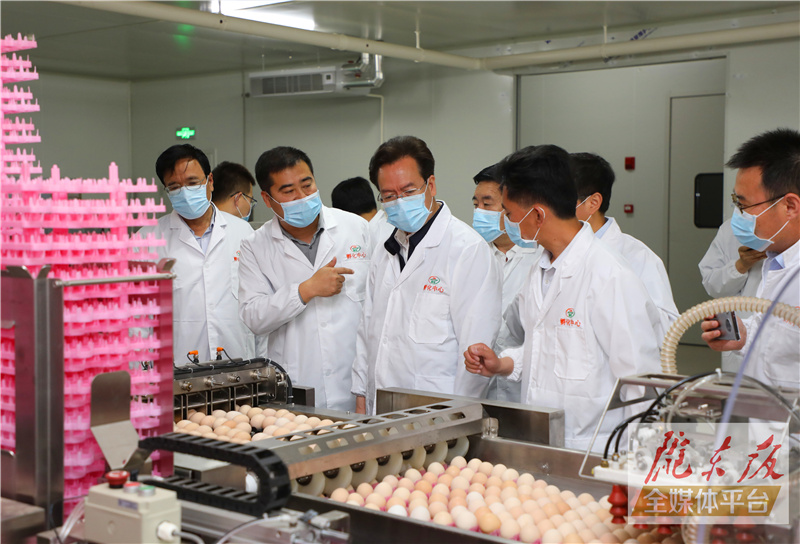 贠建民在镇原县调研时强调 用工业化思维推动优势产业提质增效 让老百姓在全产业链上实现稳定增收