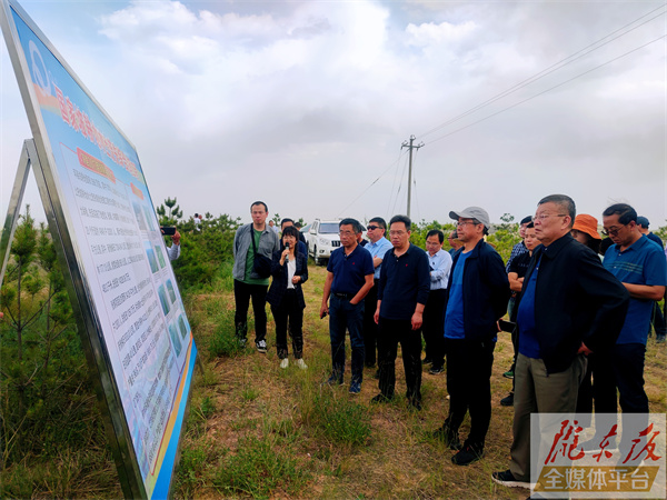 赖明一行来庆阳市专题调研黄河中游水土保持和固沟保塬工作