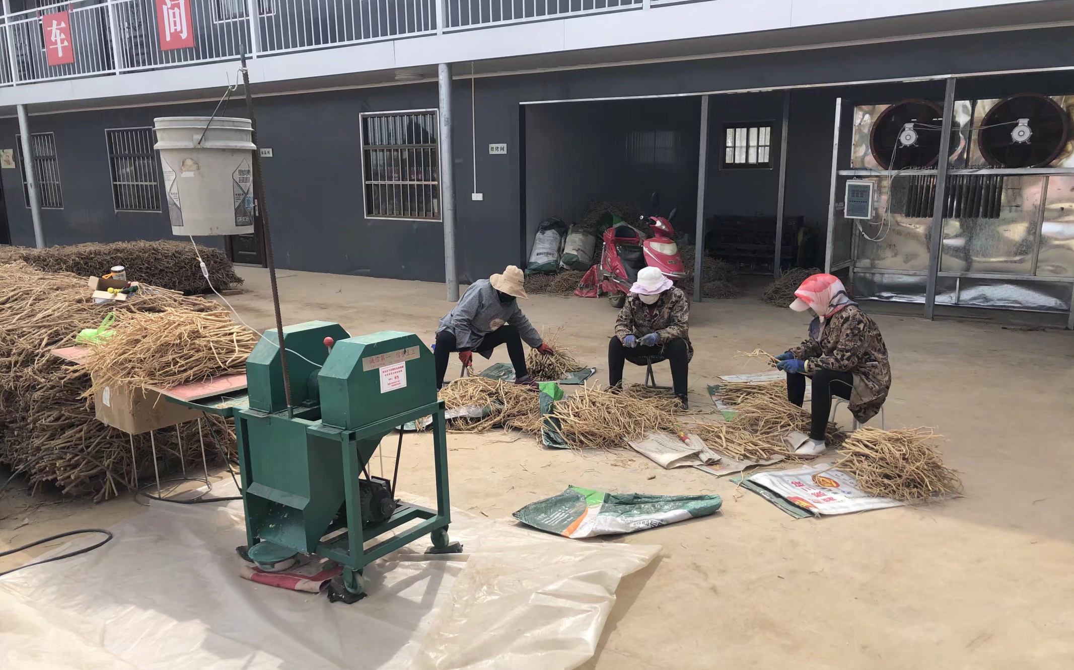 白治仓 让中药材产业带富家乡