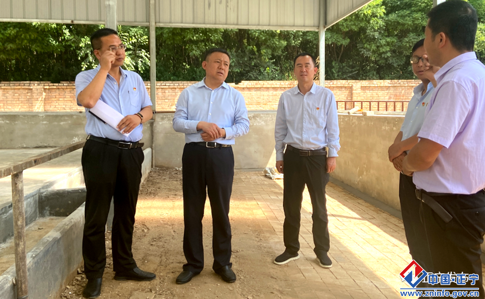 贾志升在督查调研党史学习教育和基层党建工作时强调  深化党史学习教育 凝聚奋进力量 突出党建引领 推动乡村全面振兴