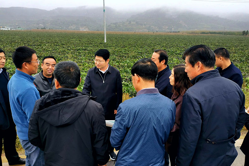陈磊调研巩固拓展脱贫攻坚成果同乡村振兴有效衔接工作和东西部协作帮扶资金使用情况
