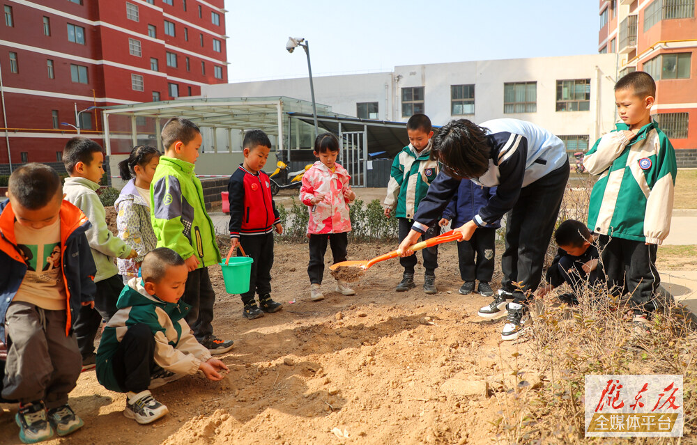 【摄影报道】庆化幼儿园开展植树节主题活动