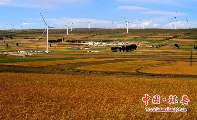 【新华社】全球连线｜“风光”驱动中国黄土高坡低碳发展