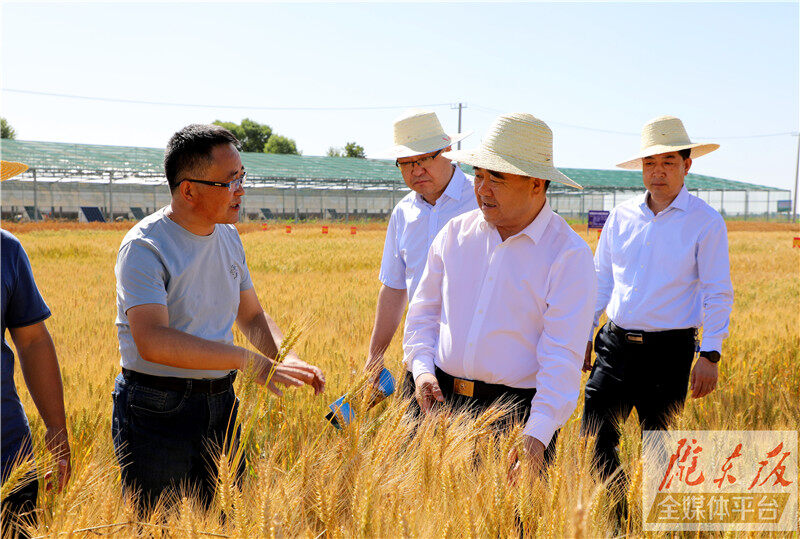 黄泽元在调研农业科技示范点建设工作时强调 把论文写在大地上成果送到农户去 以科技创新促进农业增效农民增收