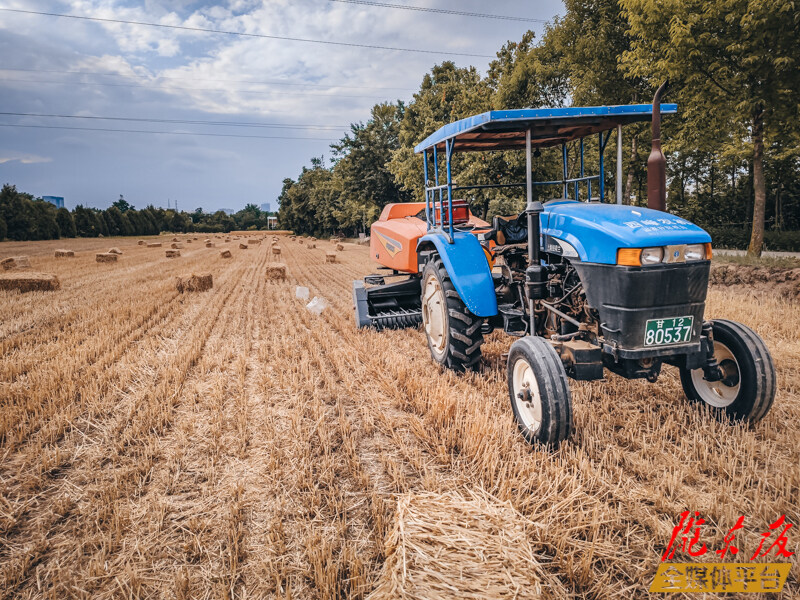 董志镇周岭村的一处收割过的麦田，农业机械将麦草打捆
