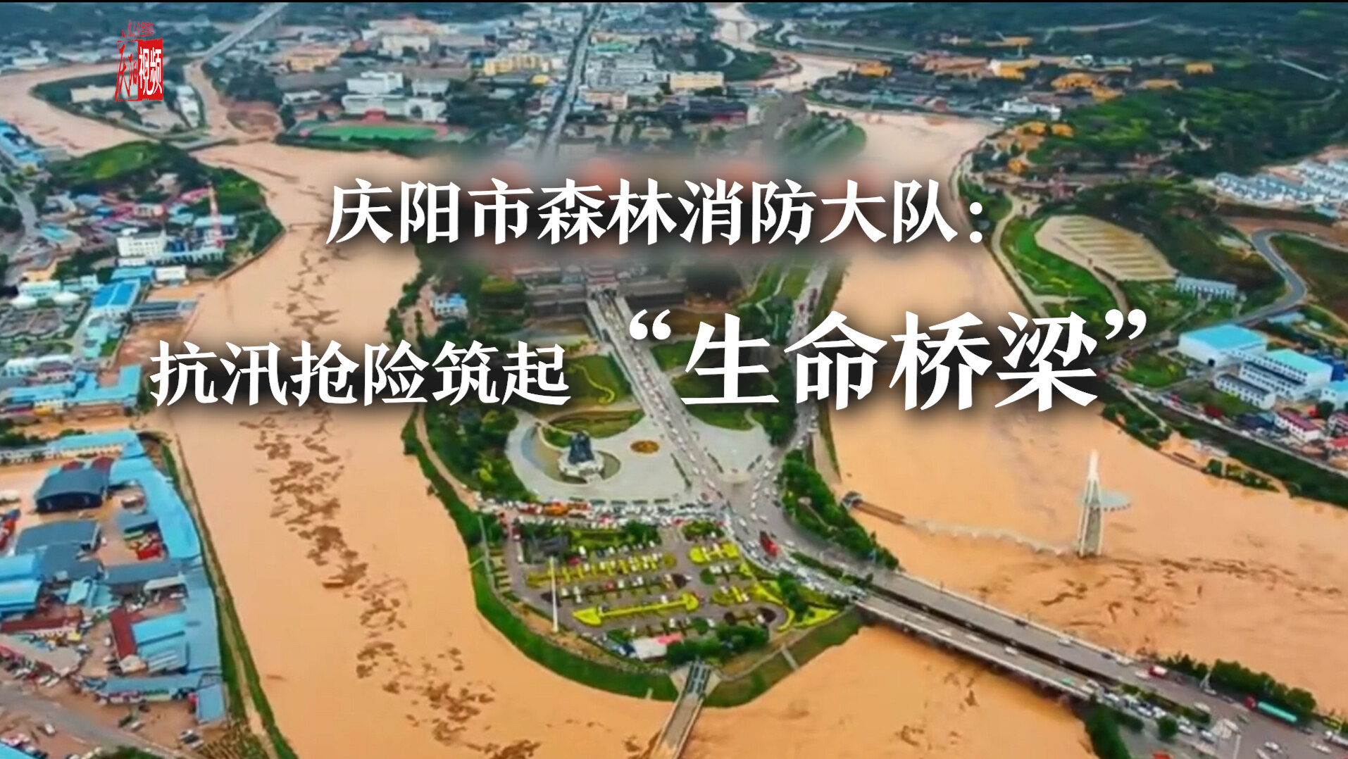 【庆阳视频】庆阳市森林消防大队：抗汛抢险筑起“生命桥梁”