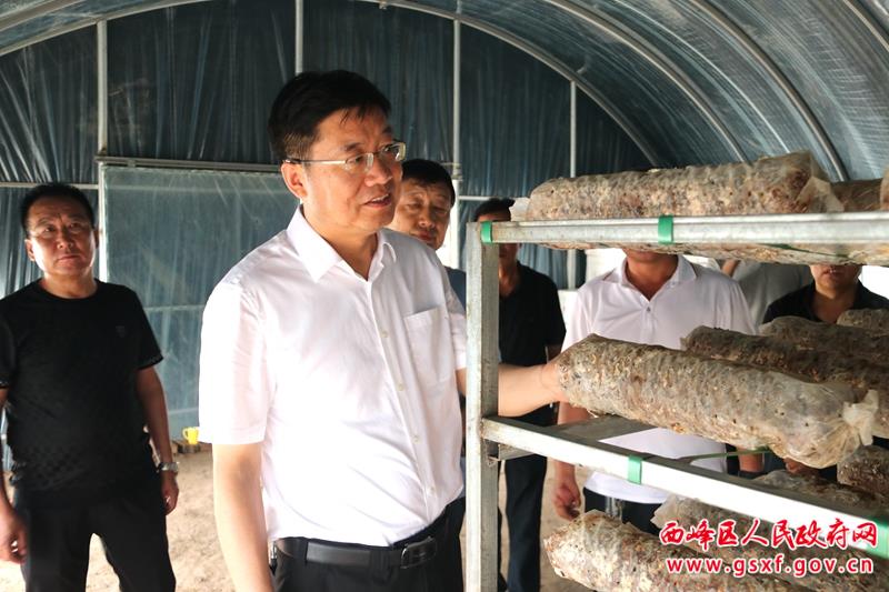 张希岳深入温泉镇调研农业生产和地质灾害治理工作