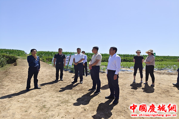 市农业农村局观摩团到庆城县查看农业综合示范点建设情况