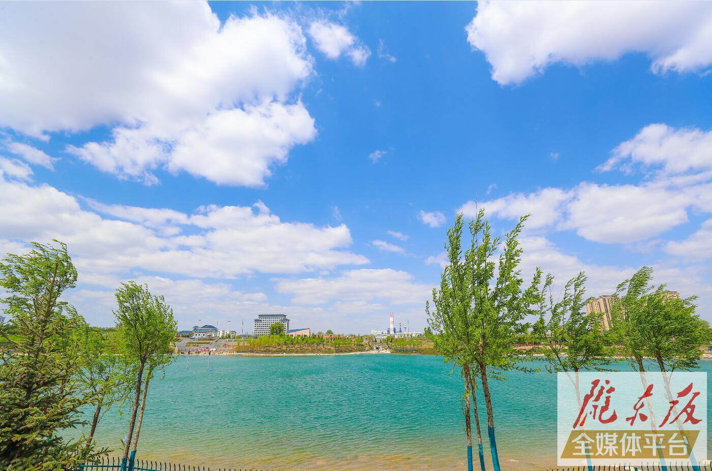 【视觉庆阳】西峰区东郊湖：鲜花环绕，碧水微漾，正是避暑好去处