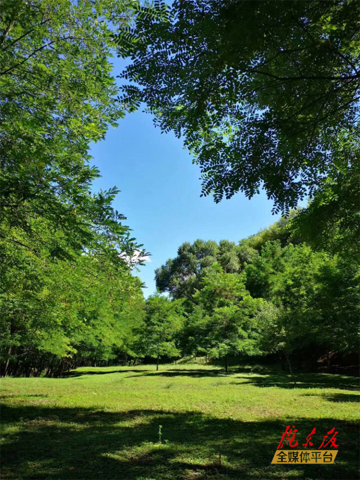 何新军丨45度角的天空